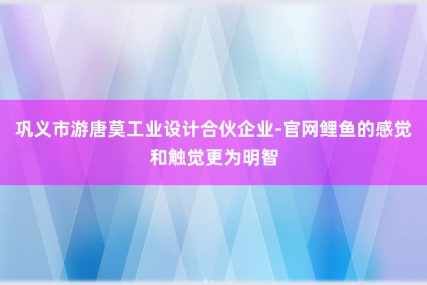 巩义市游唐莫工业设计合伙企业-官网鲤鱼的感觉和触觉更为明智
