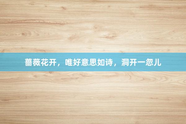 蔷薇花开，唯好意思如诗，洞开一忽儿